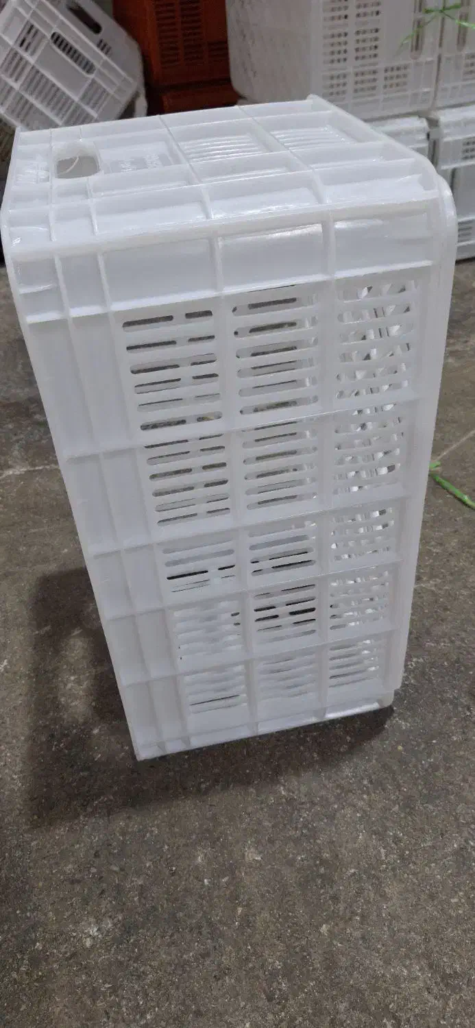 فروش سبد ۲۰ کیلویی|ظروف نگهدارنده، پلاستیکی، یکبارمصرف|بابل, |دیوار