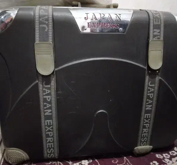 چمدان|کیف، کفش، کمربند|قم, گلزار|دیوار