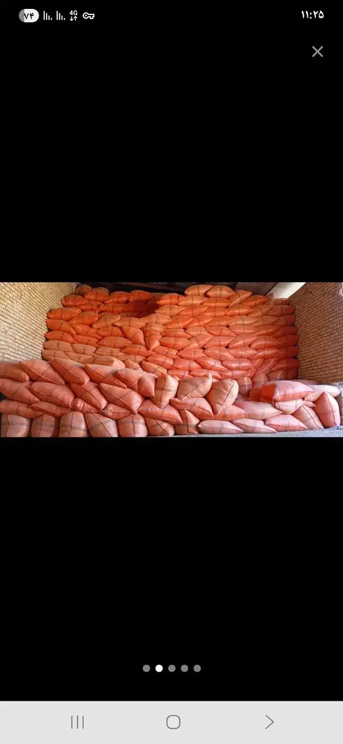 کاه باقلا و کاه سفید|خدمات باغبانی و درختکاری|نورآباد ممسنی, |دیوار