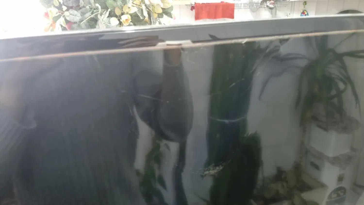 تلویزیون ۴۰ اینچ سامسونگ|تلویزیون و پروژکتور|رباطکریم, رباطکریم|دیوار