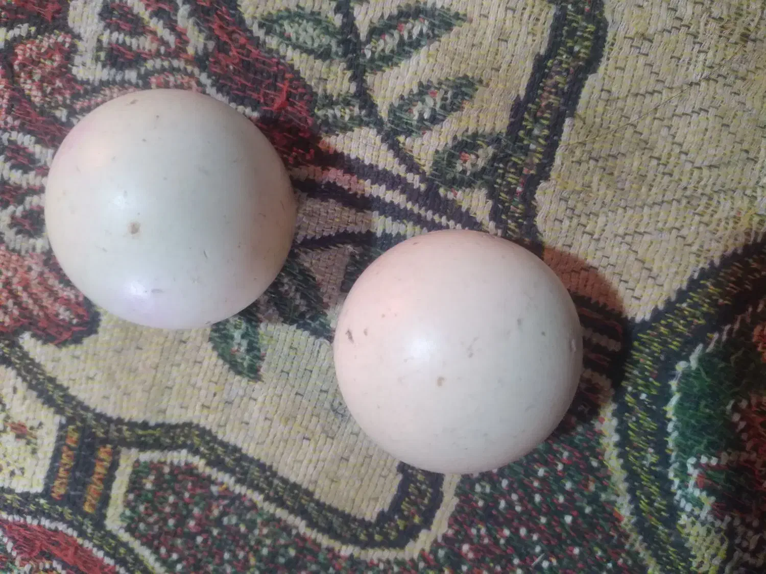 سنگ الماس آسیاب|جواهرات|خاش, |دیوار