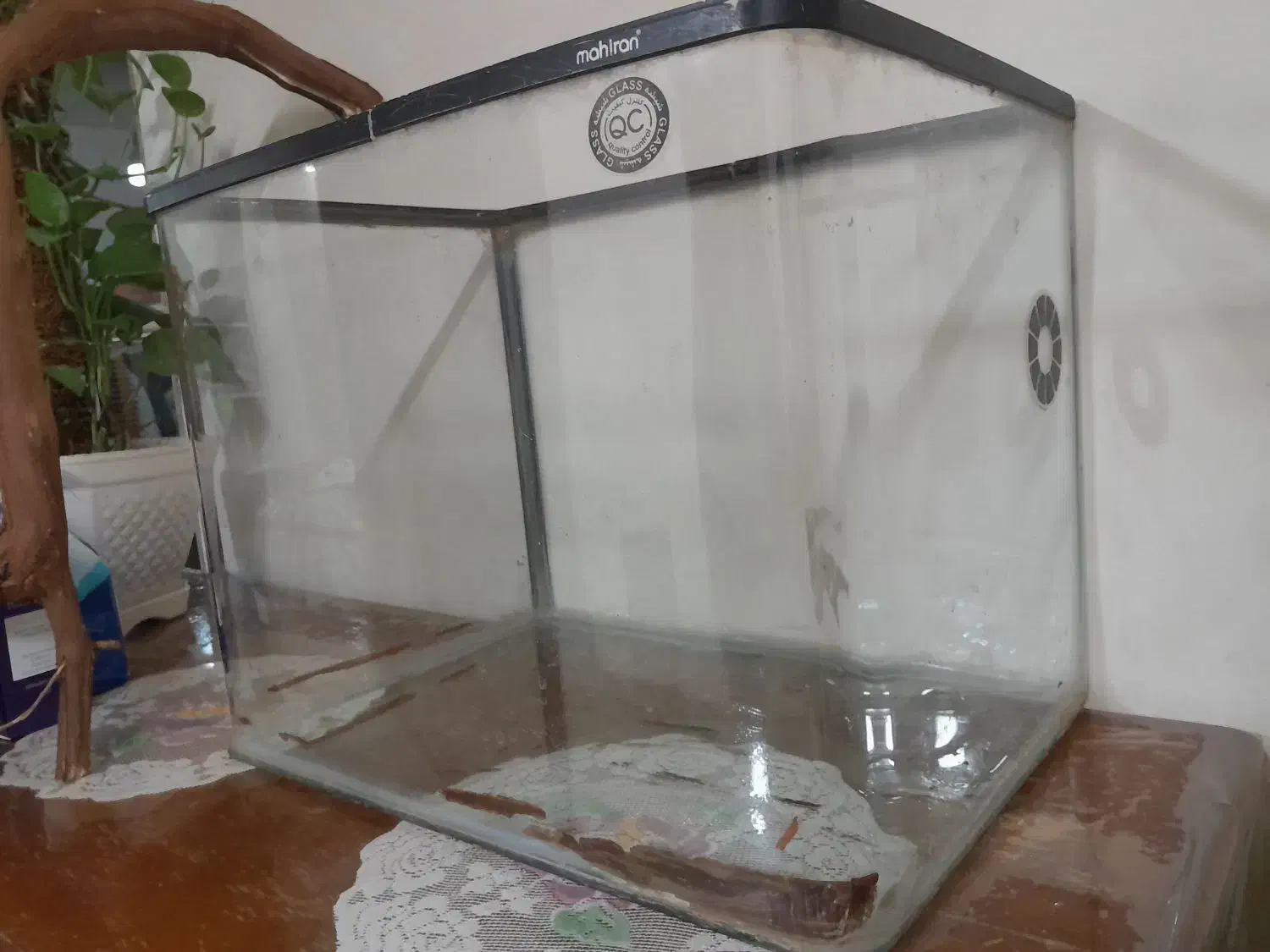 آکواریوم|ماهی|اصفهان, گرکان|دیوار