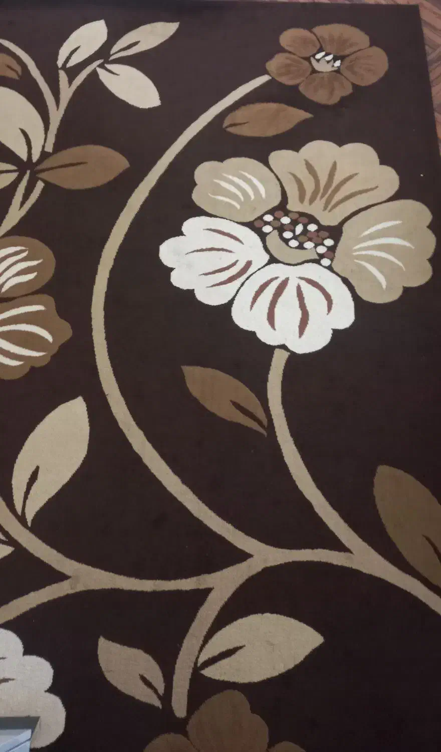 گلیم فرش|گلیم، جاجیم، گبه|اسدآباد, |دیوار