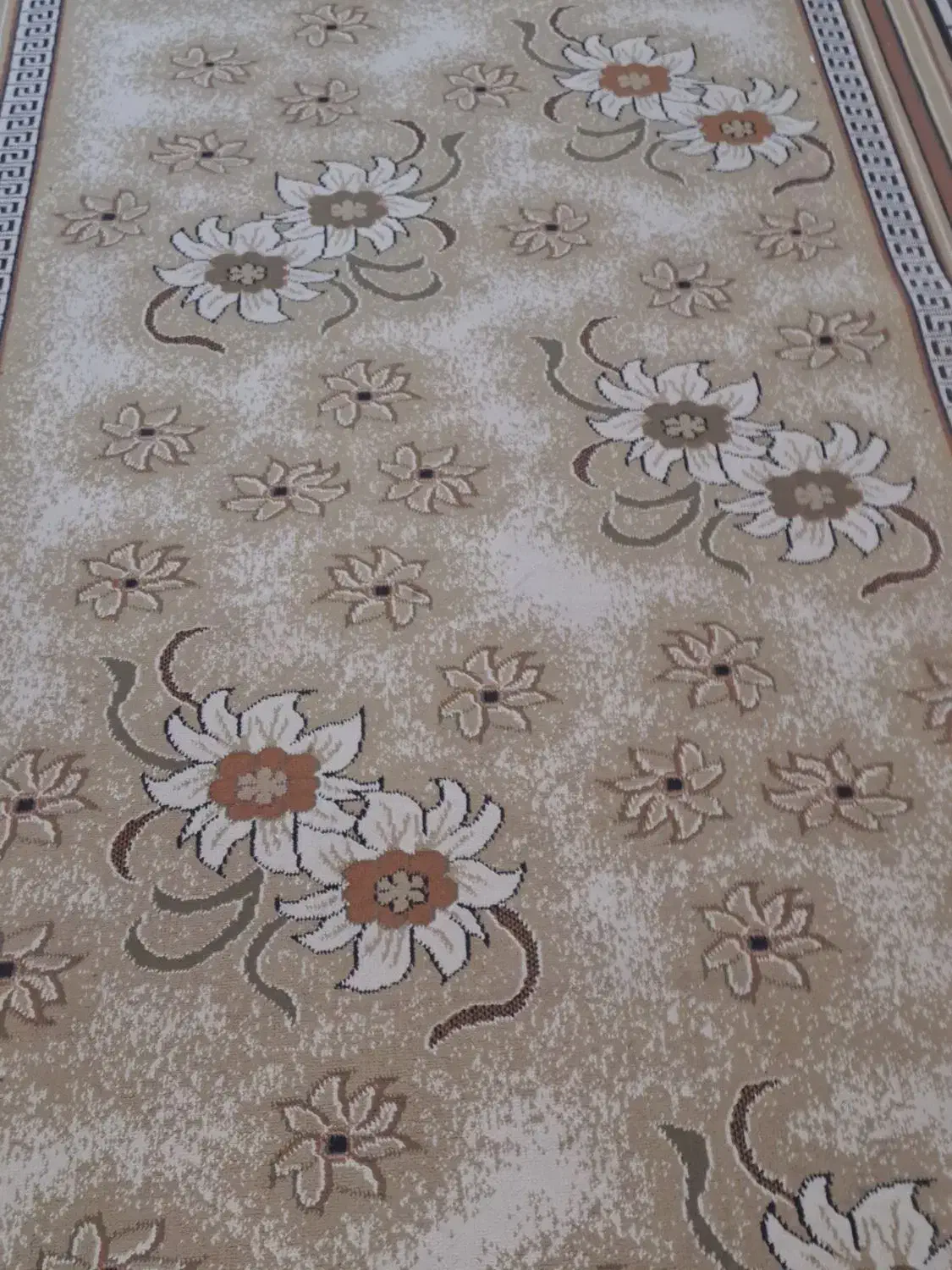 گلیم فرش|گلیم، جاجیم، گبه|تهران, شادآباد|دیوار