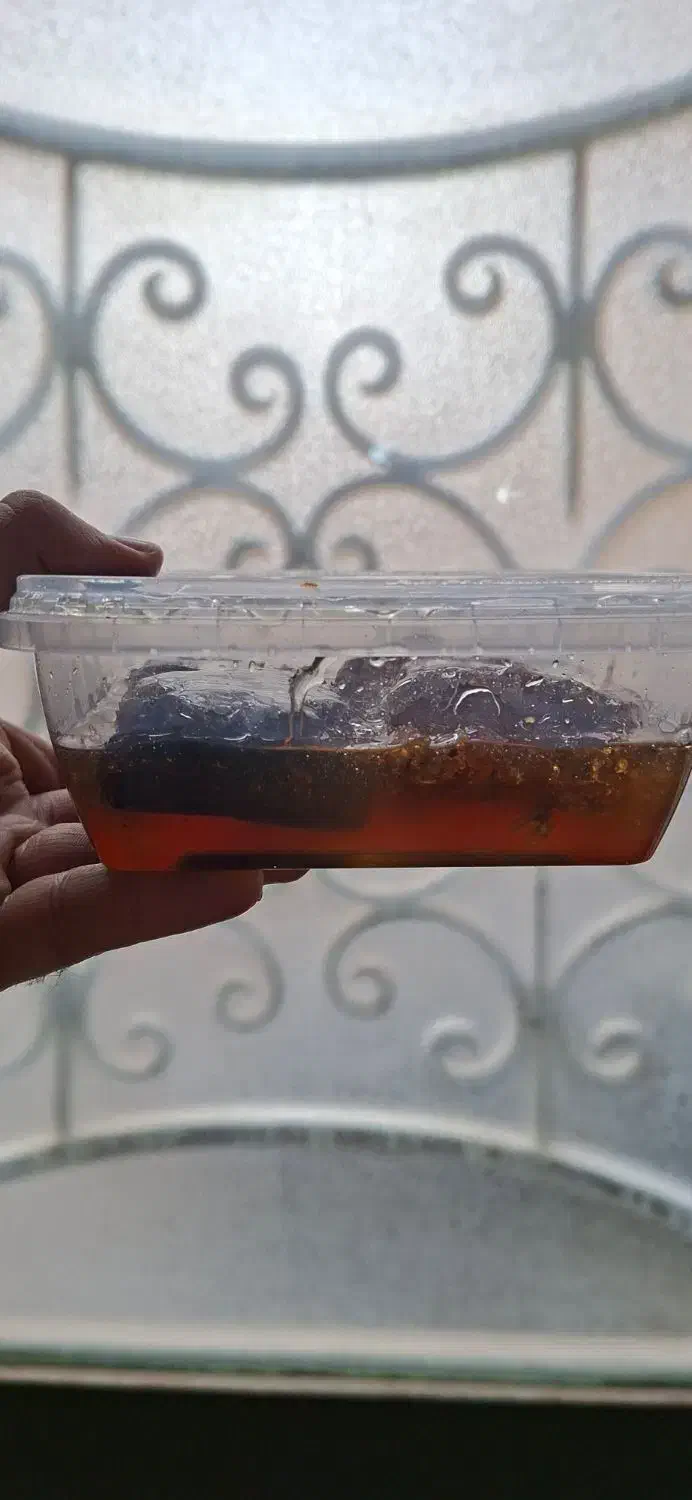 عسل موم دار 600 گرمی|خوردنی و آشامیدنی|فردیس, شهرک شهید حسینی|دیوار