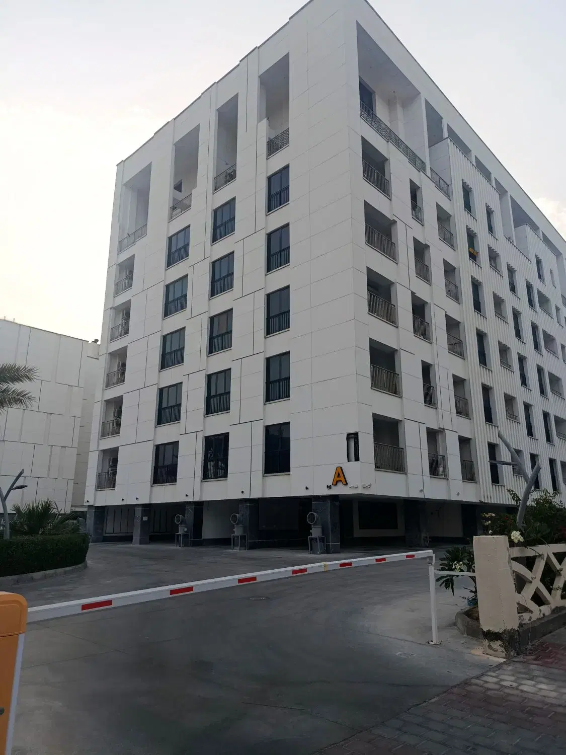 تصویر اصلی