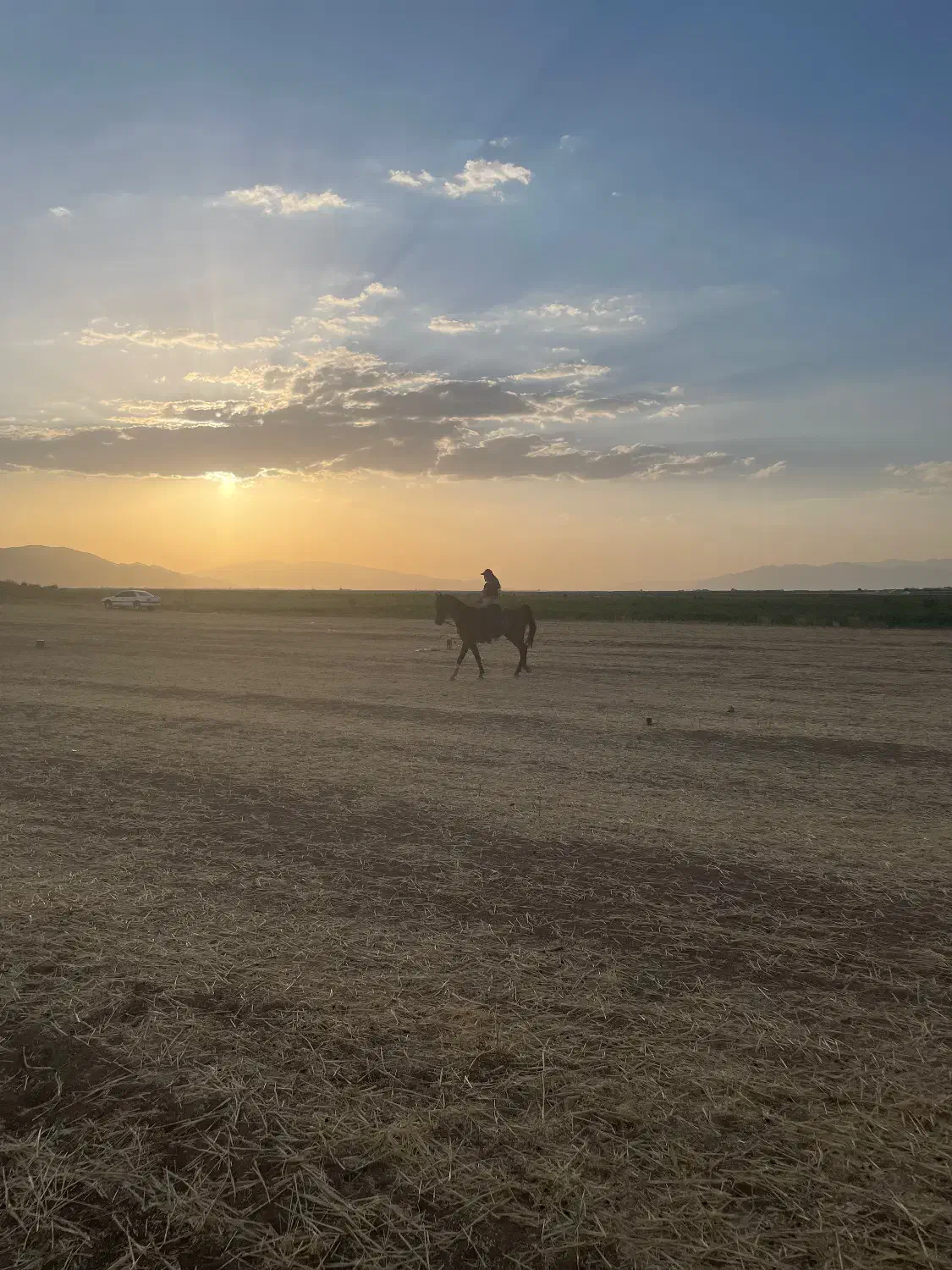 اجاره ۵۲ هکتار زمین کشاورزی شهرآشوب اقلید(فارس)|اجارهٔ دفتر صنعتی، کشاورزی، تجاری|حسن آباد, |دیوار