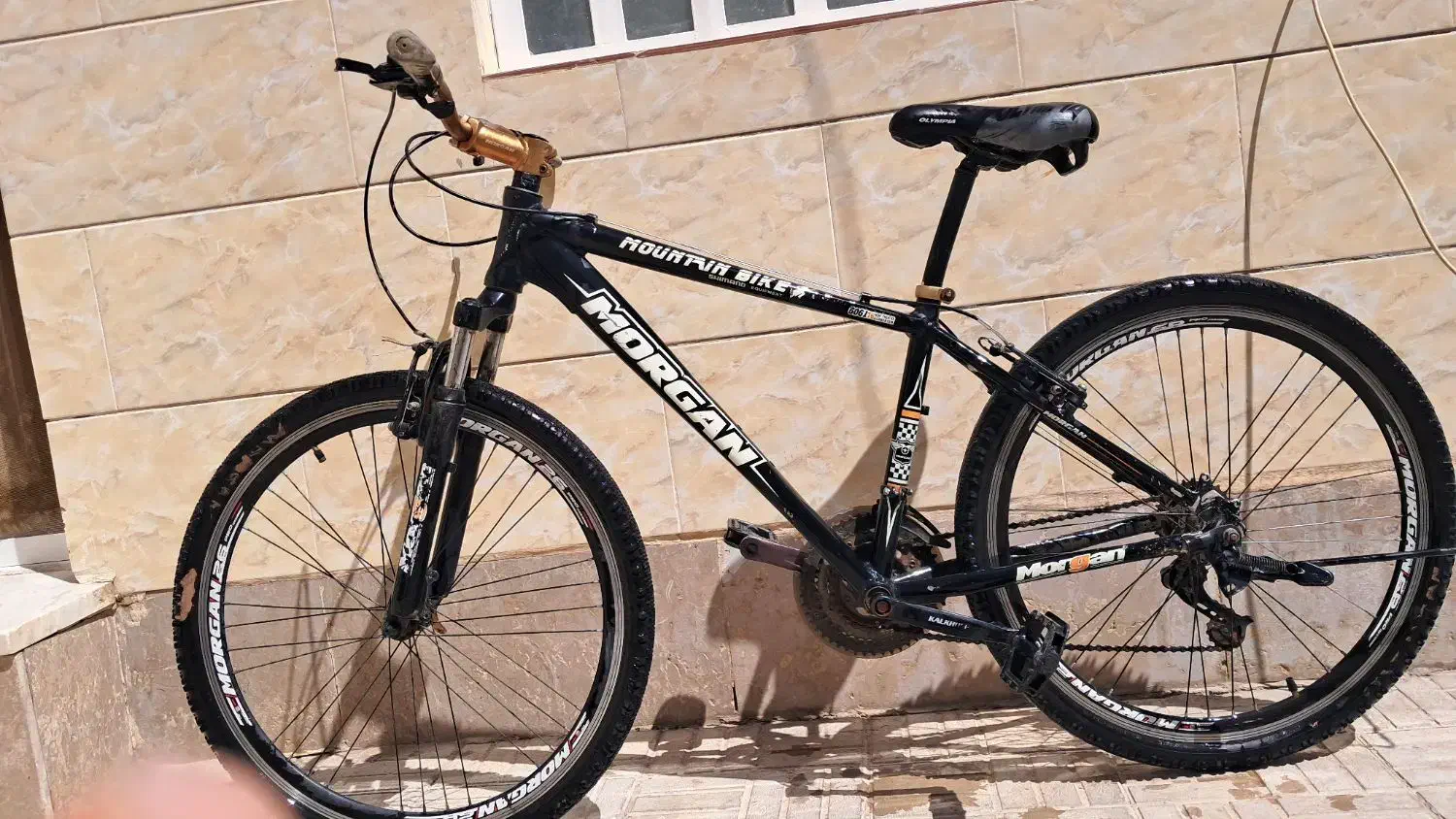 دوچرخه MORGAN26PRO|دوچرخه، اسکیت، اسکوتر|مرودشت, پشت سایپا|دیوار