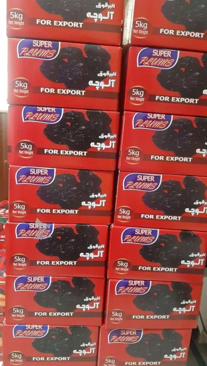 آلوچه آفتابخشک مراغه|خوردنی و آشامیدنی|بابل, |دیوار