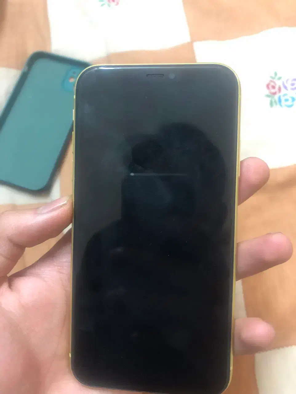 آیفون ۱۱ نرمال -iphone 11 normal|موبایل|مشهد, آزادشهر|دیوار