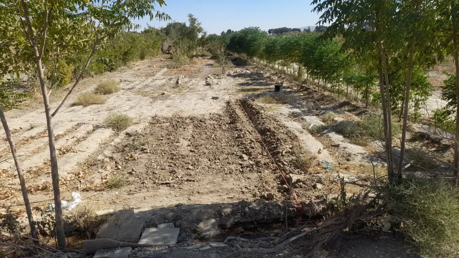 باغچه به متراژ۵۰۰متر‌‌‌‌        به ابعاد۵۰×۱۰|فروش زمین و ملک کلنگی|چهاردانگه (تهران), |دیوار