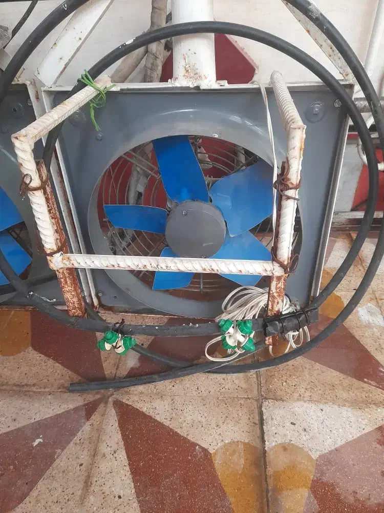 فن دمنده|پنکه و تصفیه‌کنندهٔ هوا|دزفول, |دیوار