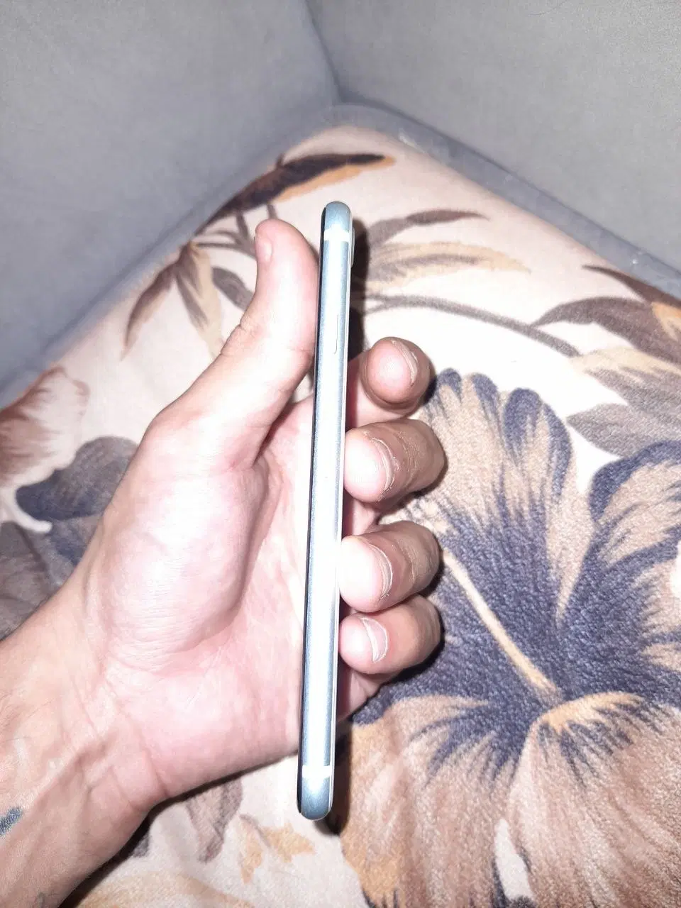 iphone se 2020|موبایل|پرند, فاز ۵|دیوار