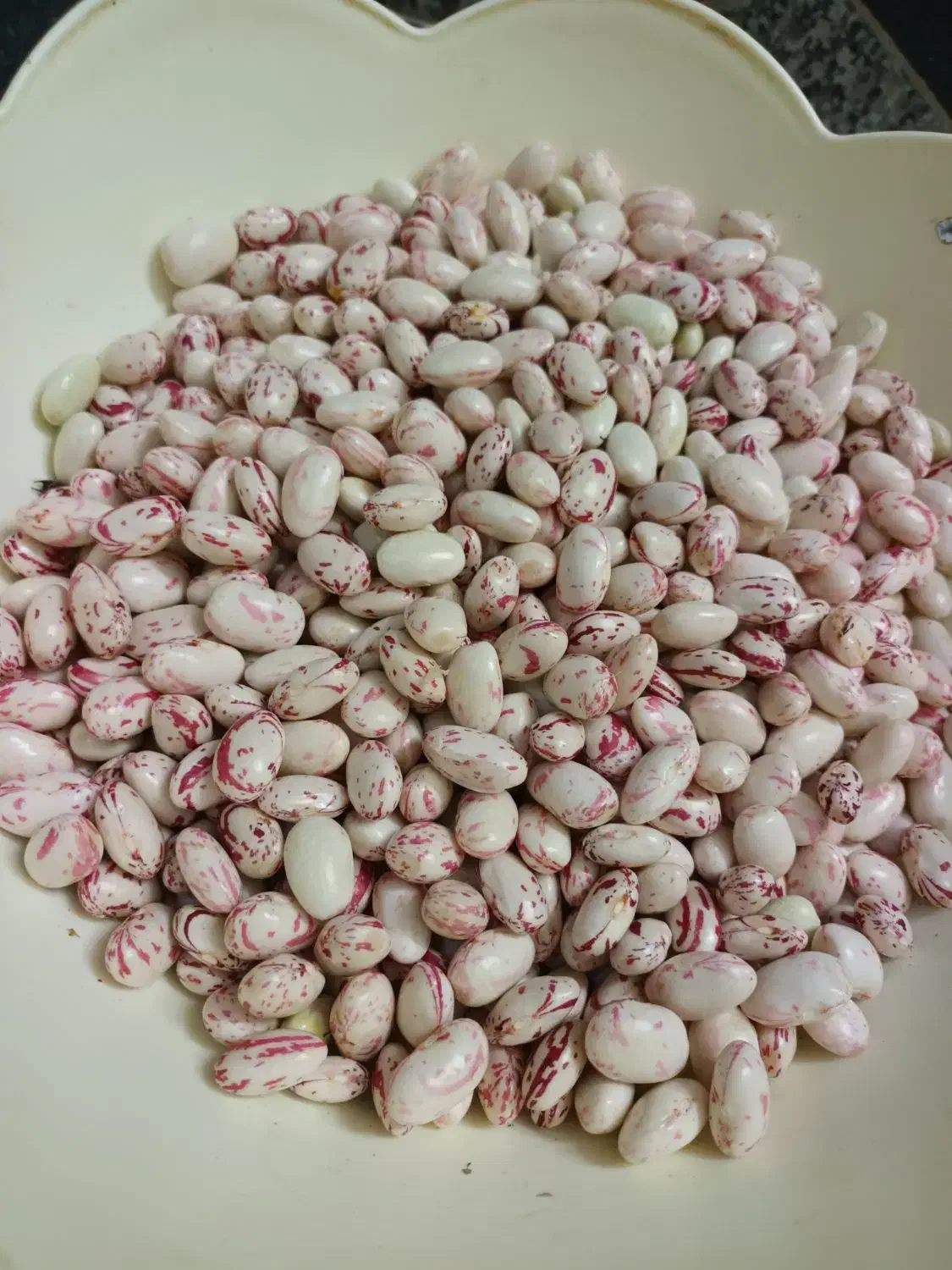 لوبیا چیتی و لوبیا سبز|خوردنی و آشامیدنی|قائم‌شهر, |دیوار