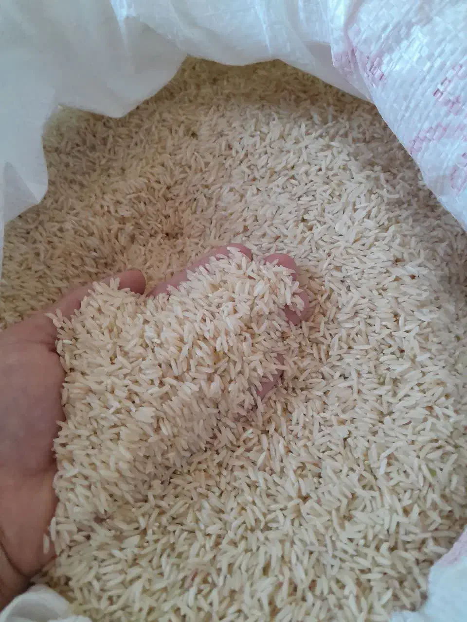 برنج طارم شیروان|خوردنی و آشامیدنی|سیروان, |دیوار