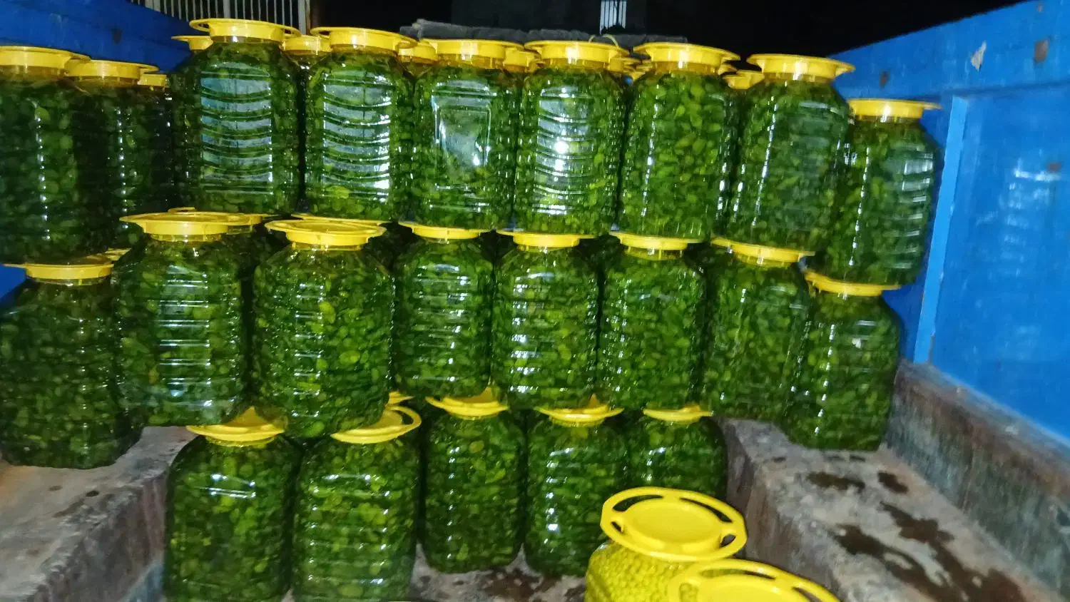 ترشی بیور|عمدهفروشی|لالجین, |دیوار