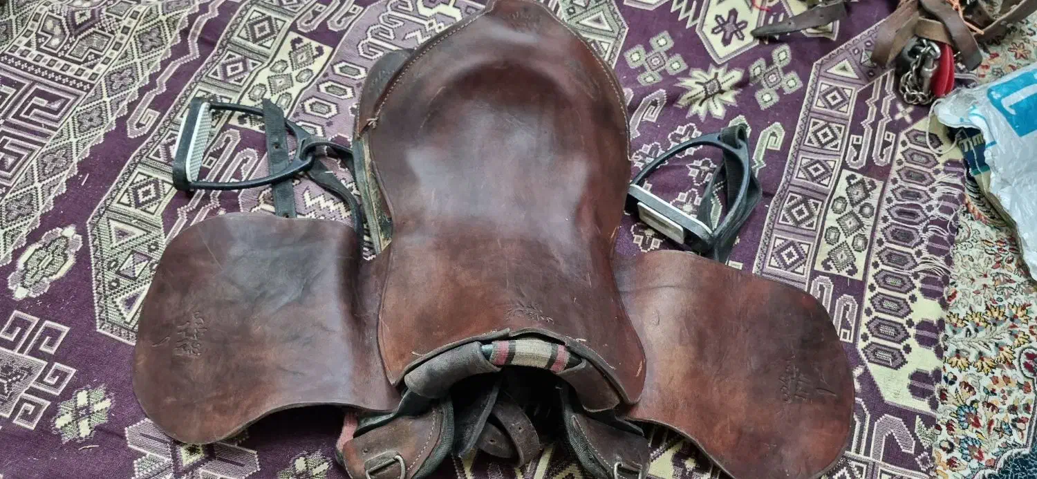 زین اسب|اسب و تجهیزات اسب‌سواری|کرمان, |دیوار