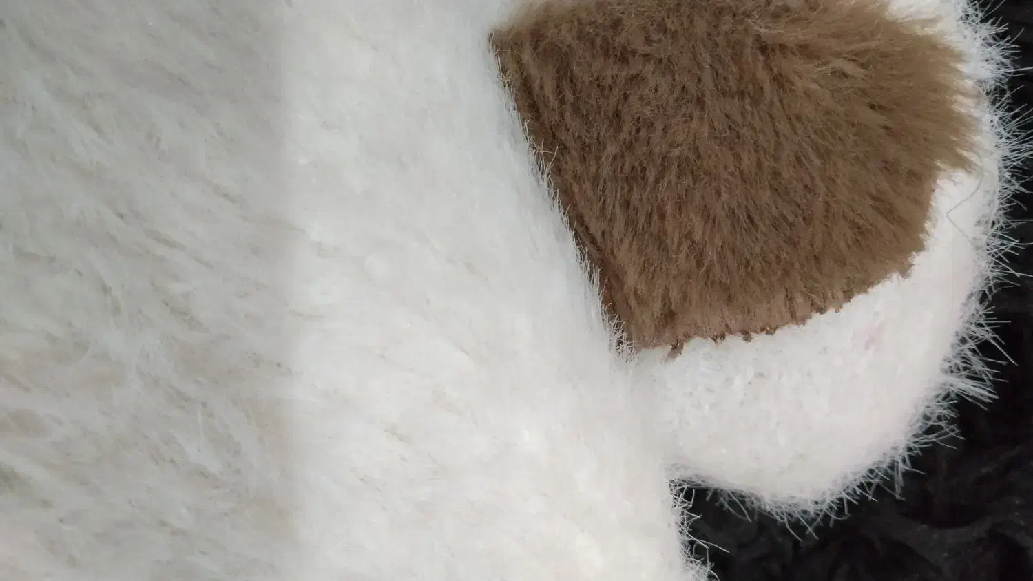 کلاه بچه گانه اسپرت|کفش و لباس بچه|تهران, میدان میوه و تره‌بار مرکزی|دیوار