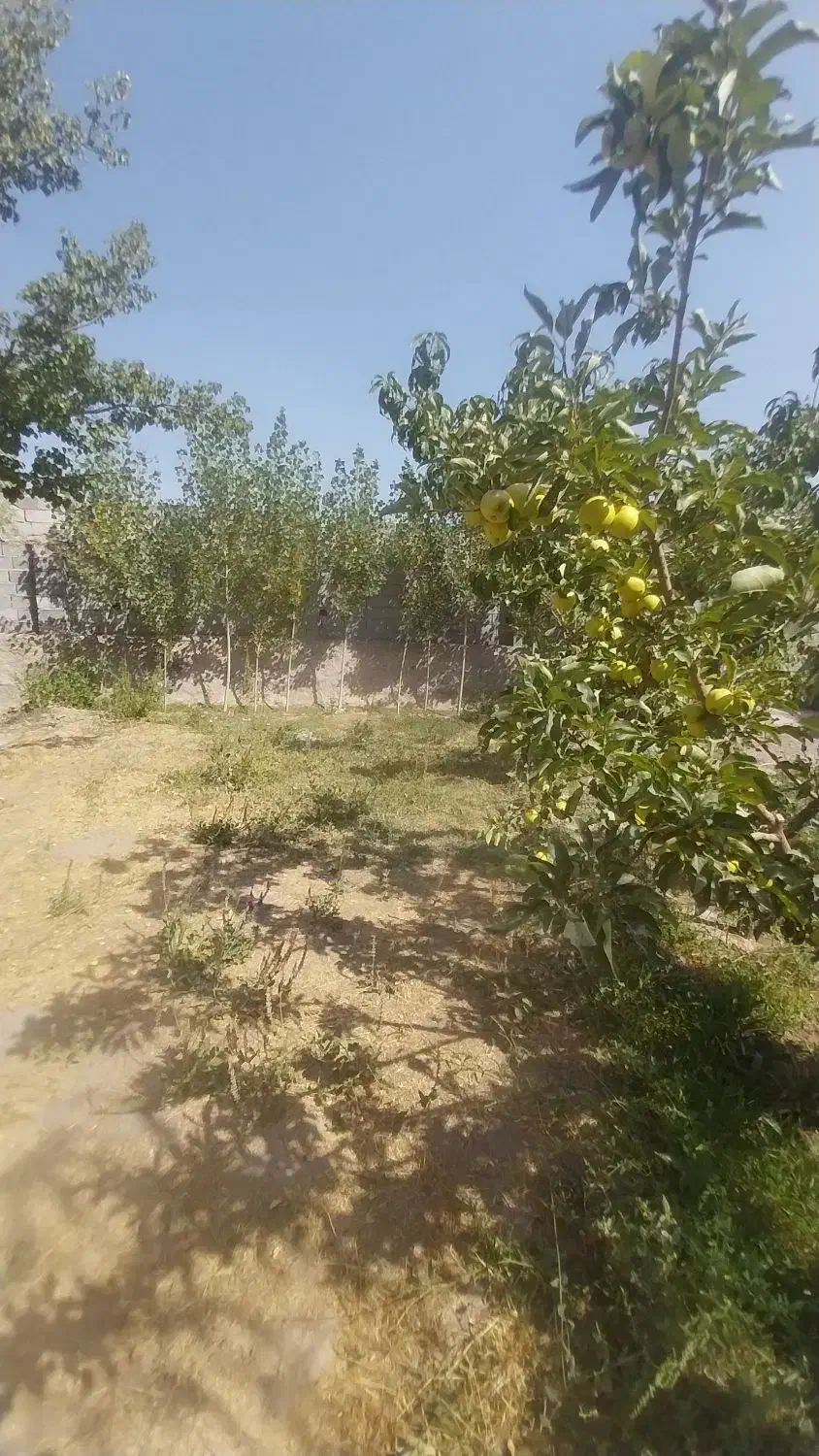 باغ ۵۰۳ متری در نزدیکی شهرک خاوران|فروش خانه و ویلا|باسمنج, |دیوار