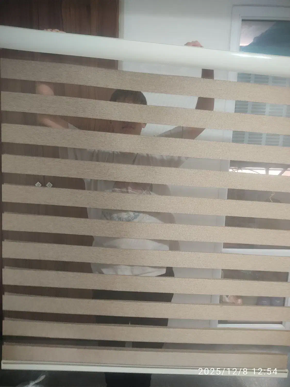 پرده زبرا نو|پرده، رانر، رومیزی|تهران, شهرک شریعتی|دیوار