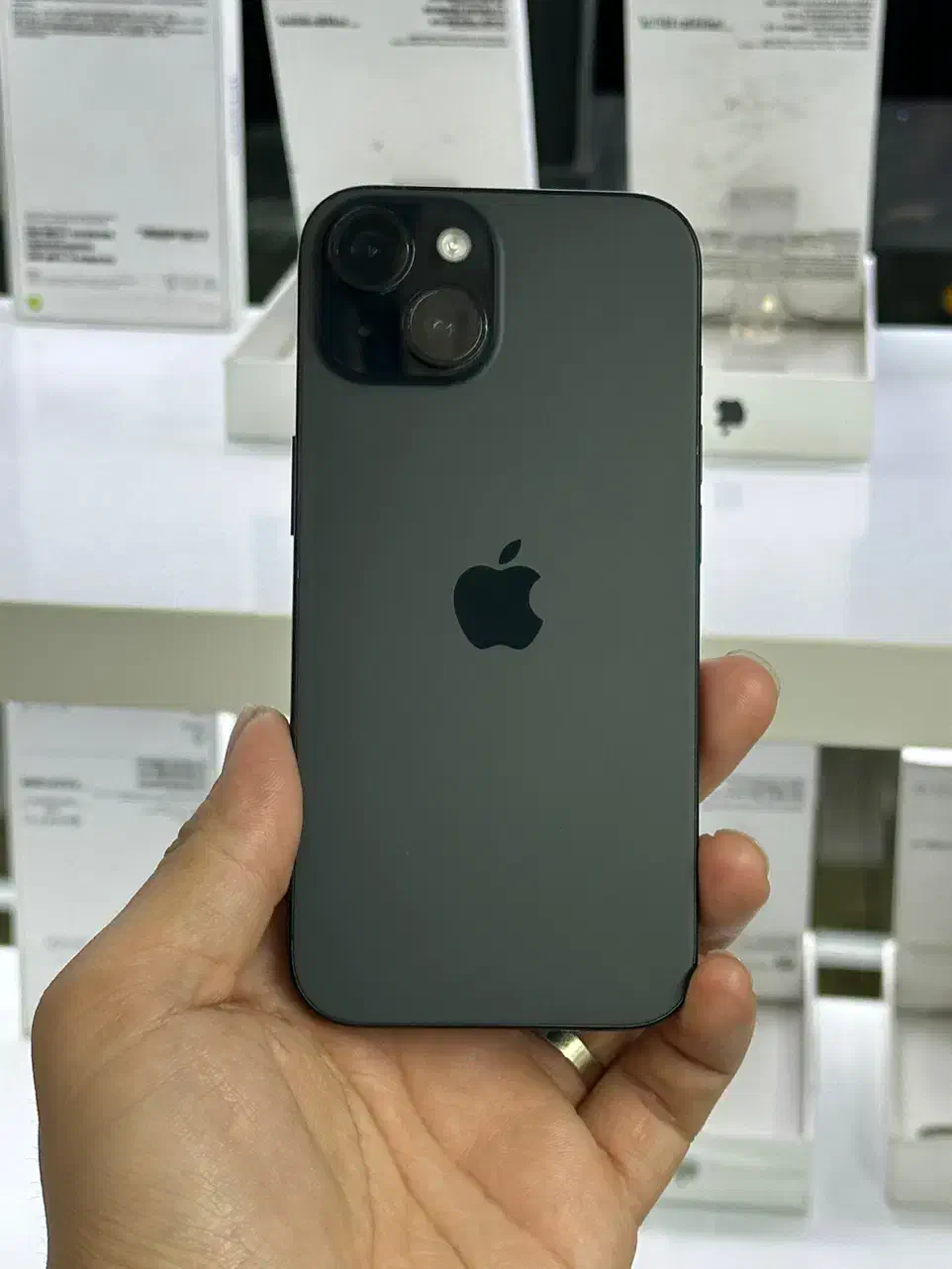 15 256 نقد و اقساط|موبایل|پرند, فاز ۲|دیوار