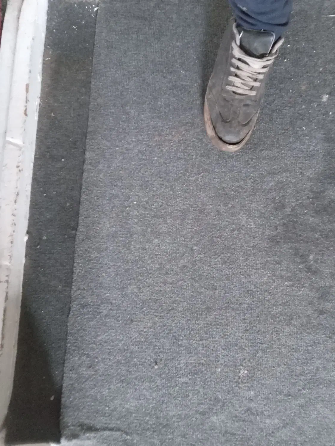 موکت ساده سالم|موکت|لاهیجان, لیالستان|دیوار