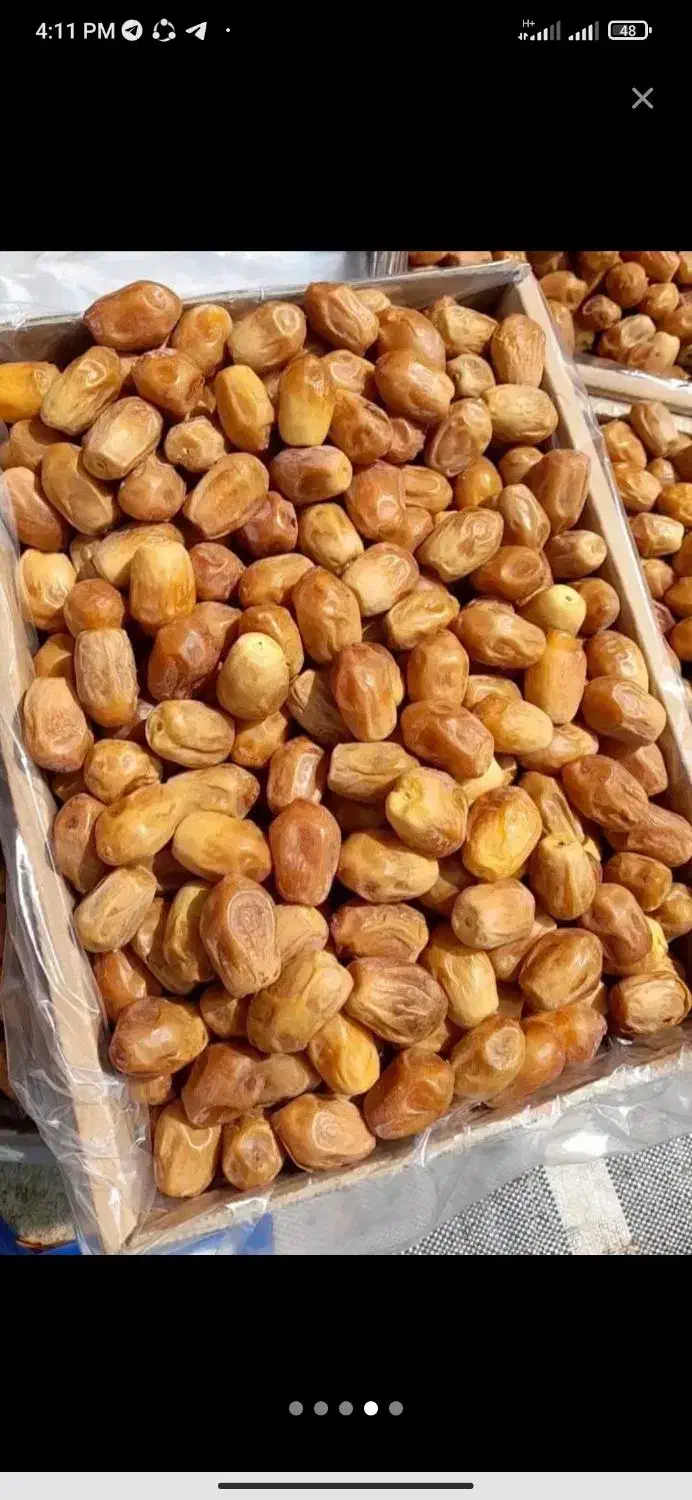 خرمای زاهدی|عمده‌فروشی|اسفرورین, |دیوار