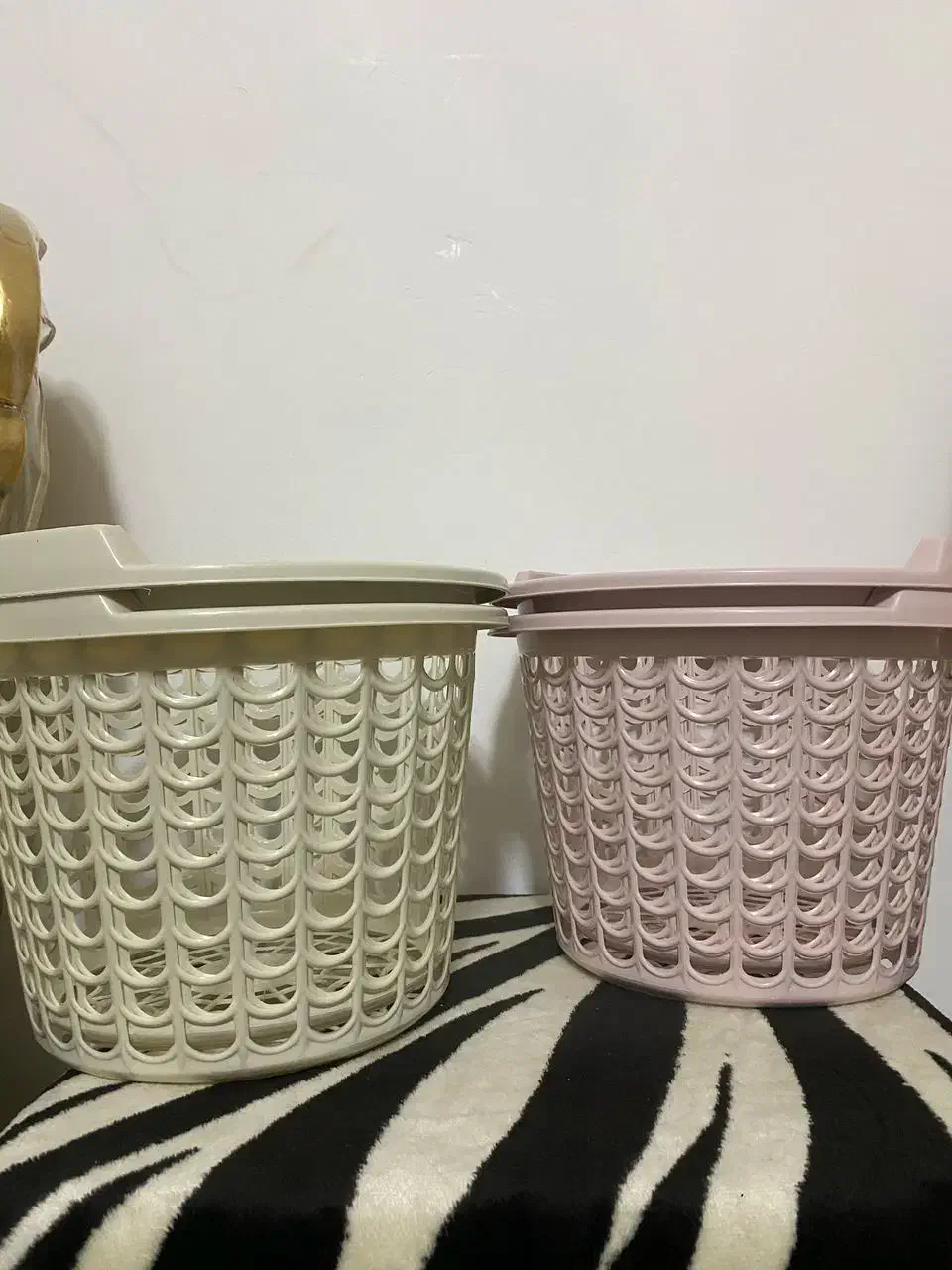 انواع ظرف پلاستیکی|ظروف نگهدارنده، پلاستیکی، یکبارمصرف|کرمانشاه, |دیوار