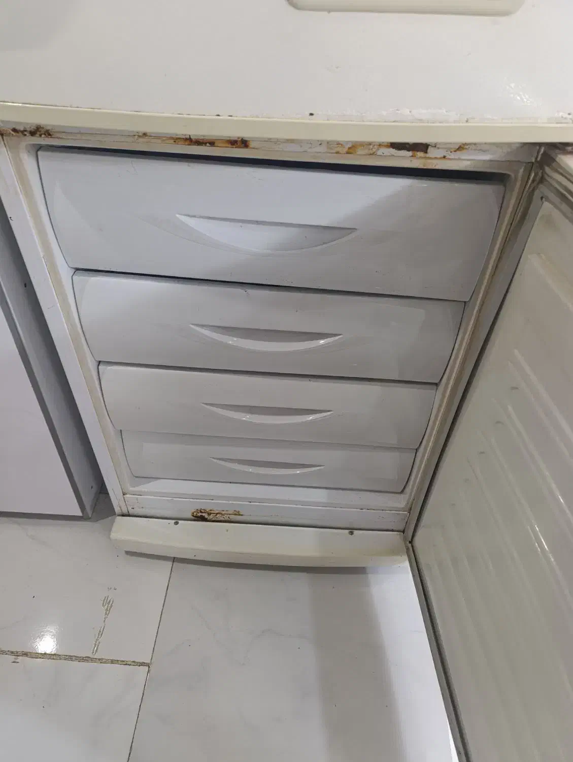 یخچال زاگرس|یخچال و فریزر|مشهد, طبرسی شمالی|دیوار