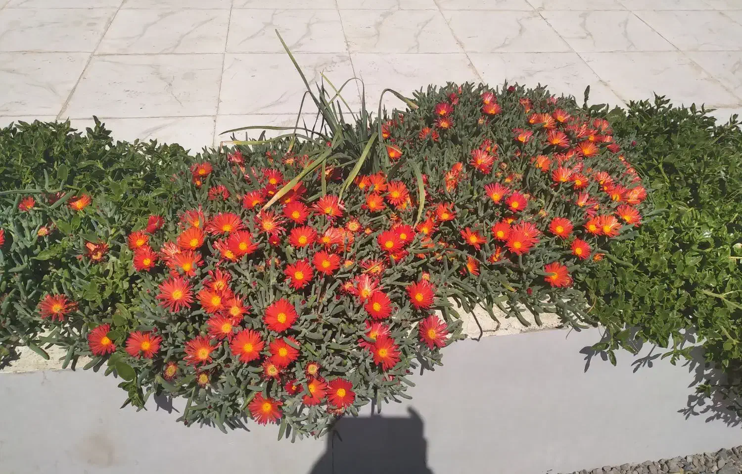 منزل مسکونی|فروش خانه و ویلا|نهبندان, |دیوار