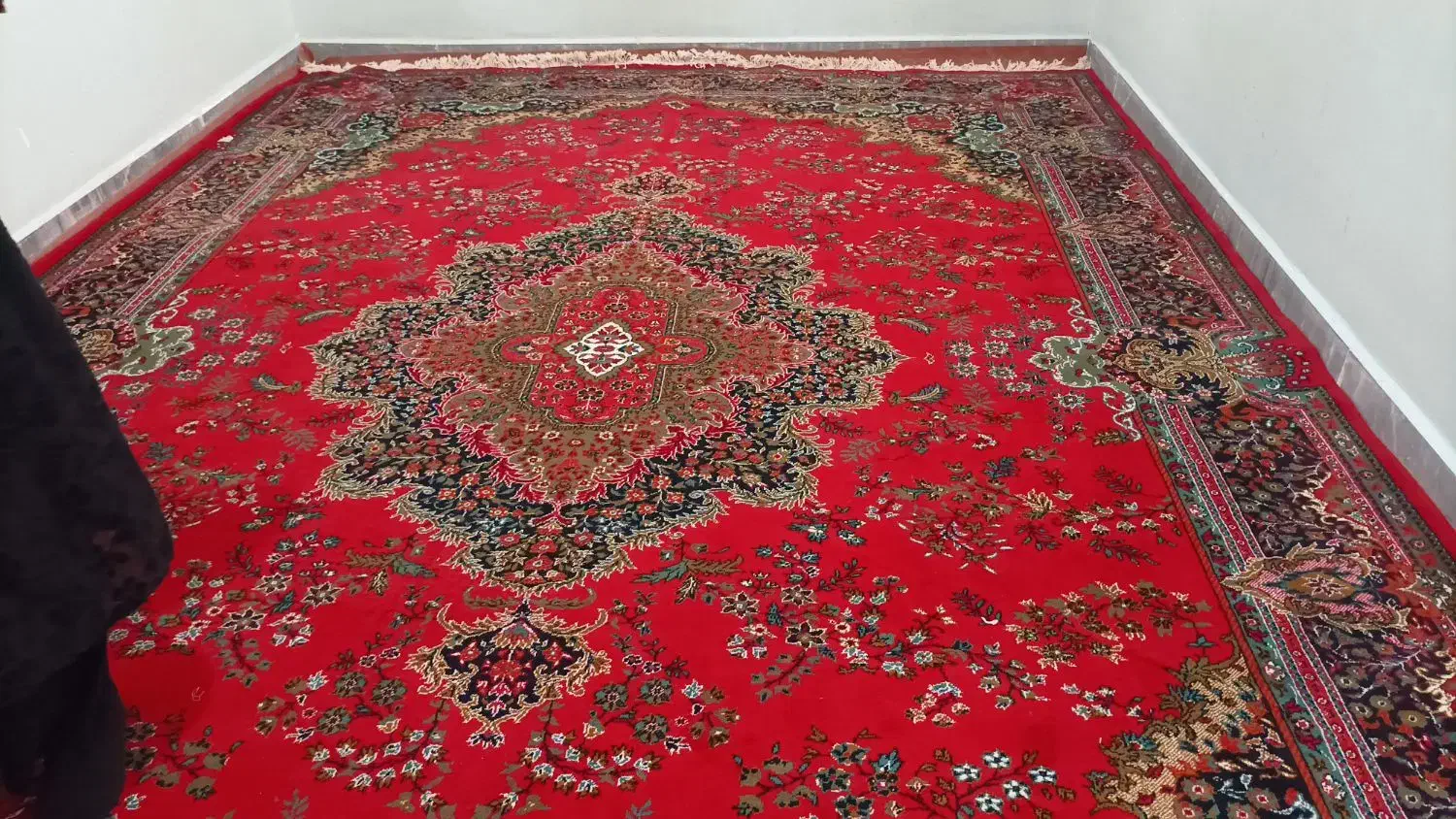 فرش فروش|فرش|آبدانان, |دیوار