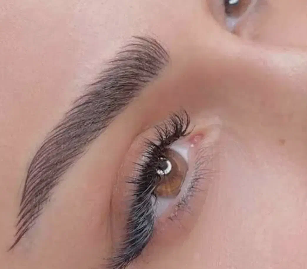 فیبروز .شیدینگ لب . میکروبلیدینگ|خدمات آرایشگری و زیبایی|شاهین‌شهر, نظامی|دیوار