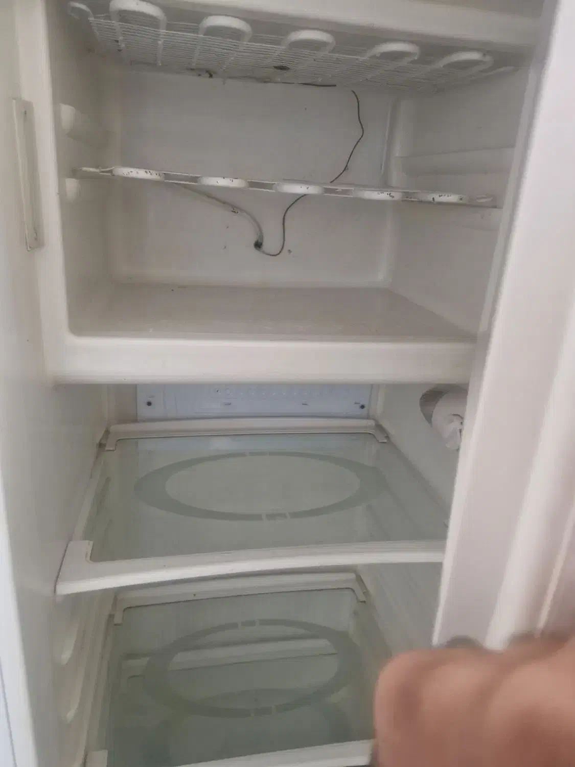 یخچال کاملا تمیز و بدون هیچ ایرادی|یخچال و فریزر|تربت جام, جامی|دیوار