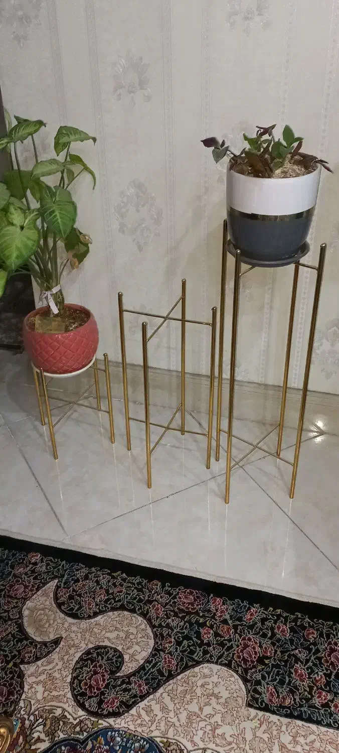 دوتا گلدان سرامیکی|گل و گیاه طبیعی|تهران, یافت آباد شمالی|دیوار