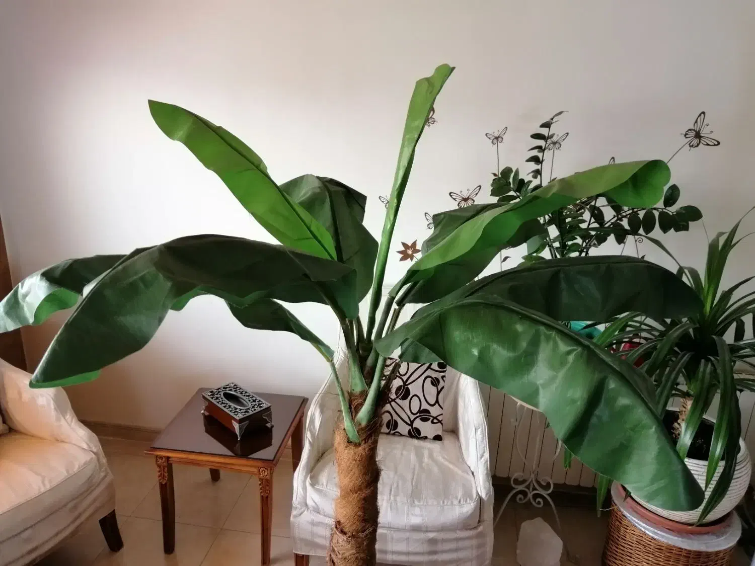 درخت موز خارجی|گل مصنوعی|تهران, سید خندان (جلفا)|دیوار