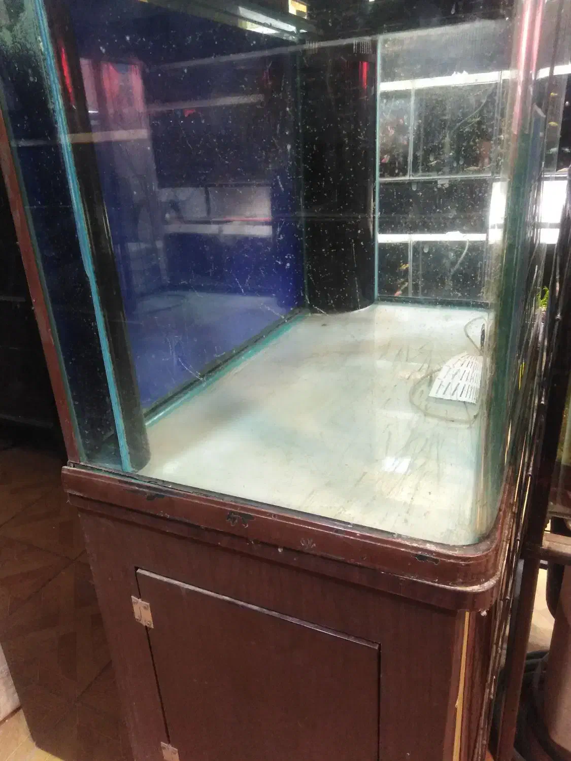 آکواریوم شیشه خم باکمد مین جیانگ قهوه ای یک متری|ماهی|کرمان, |دیوار