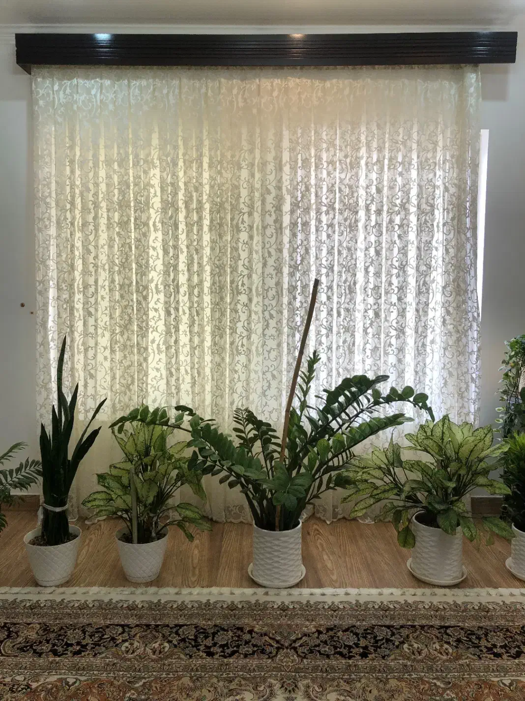 پرده پزیرایی|پرده، رانر، رومیزی|ساری, |دیوار