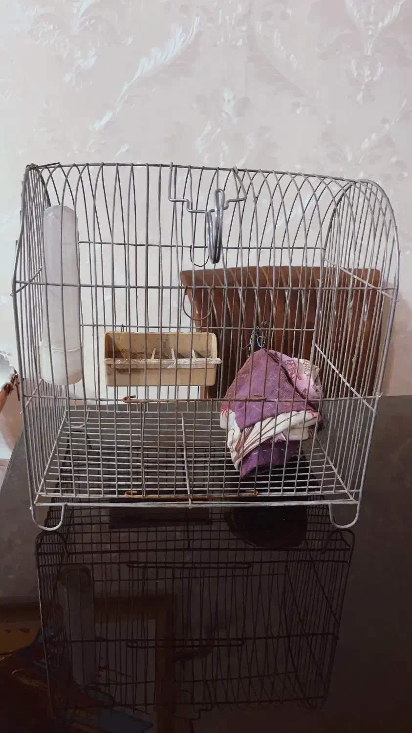 قفس پرنده|لوازم جانبی حیوانات|کرمانشاه, |دیوار