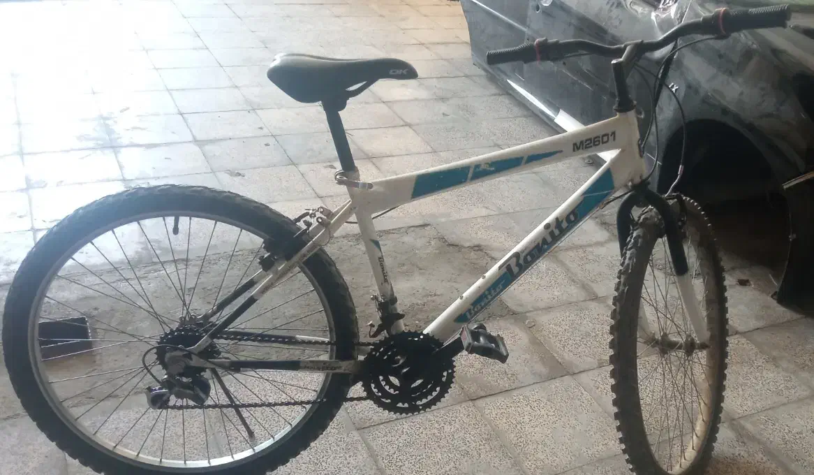 دوچرخه26|دوچرخه، اسکیت، اسکوتر|قدس, شهر‌قدس|دیوار