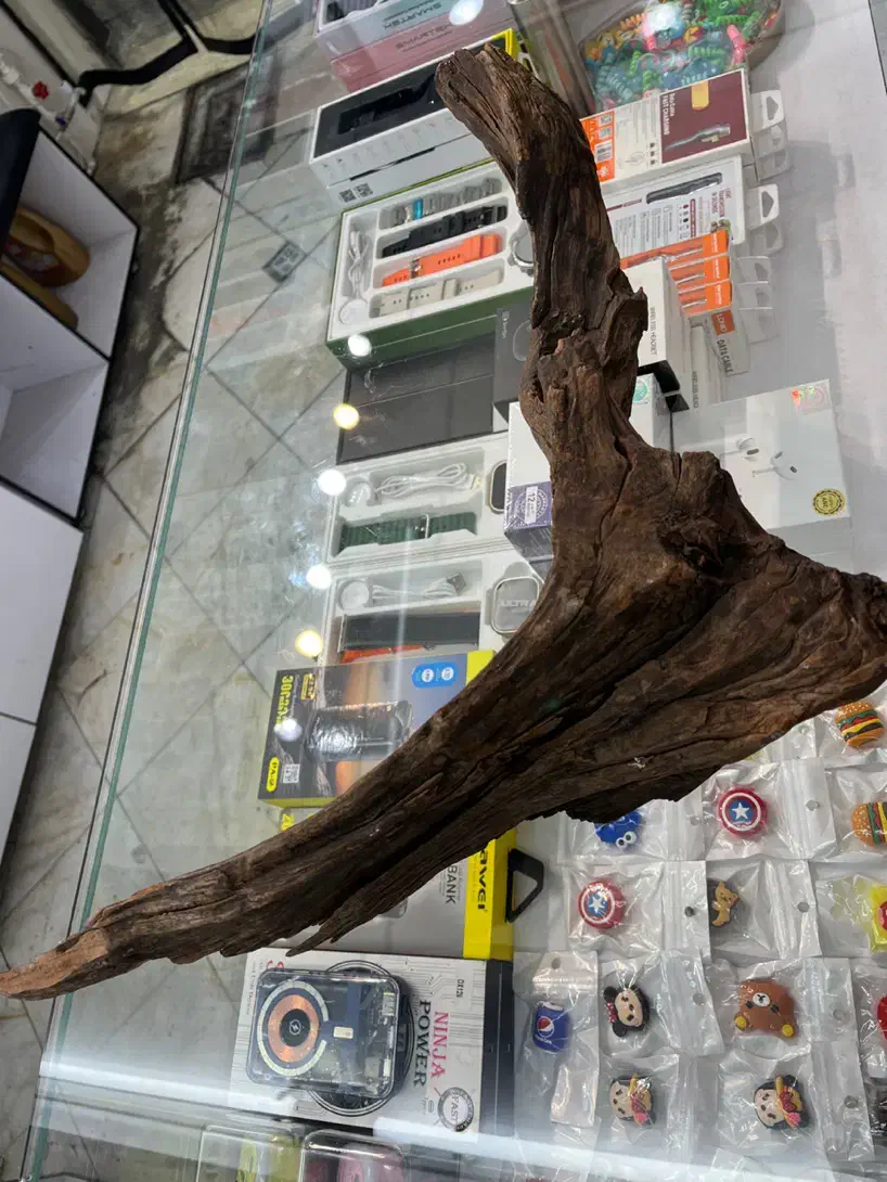 چوب آبنوس|ماهی|تهران, افسریه شمالی|دیوار