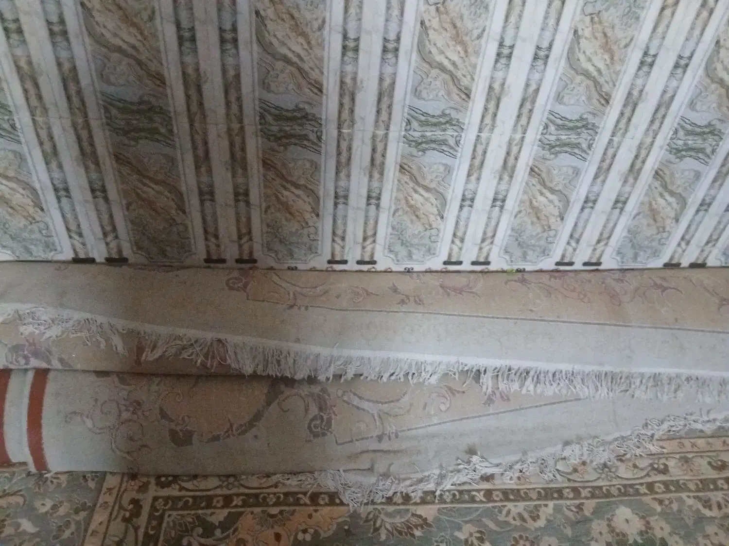 دوعدد قالی|فرش|کهنوج, |دیوار