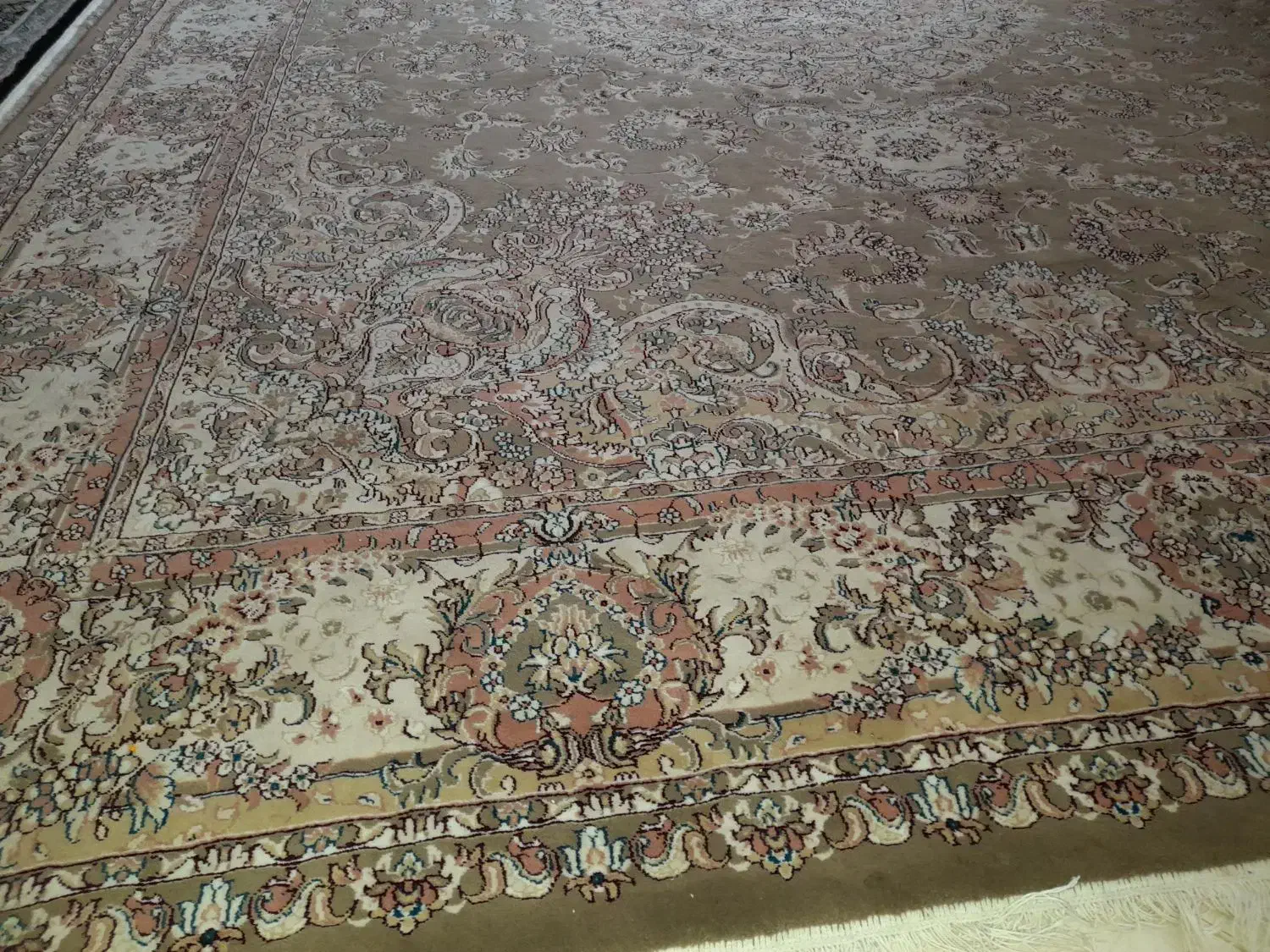 فرش ۱۲متری|فرش|داراب, |دیوار