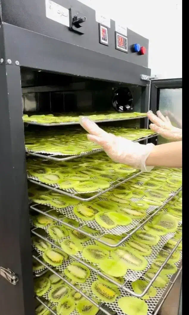 کسب کار موفق با دستگاه خشک کن میوه سبزی پیلسا|ماشینآلات صنعتی|مشهد, کاظم آباد پنجشنبه|دیوار