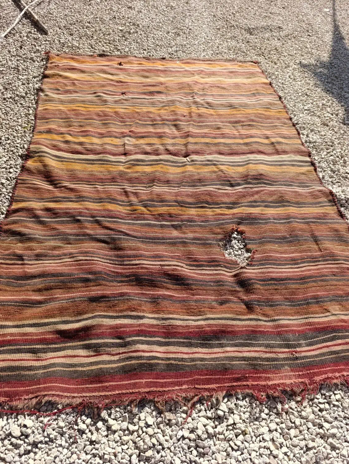 دست بافت گلیم|گلیم، جاجیم، گبه|شیراز, کفترک|دیوار