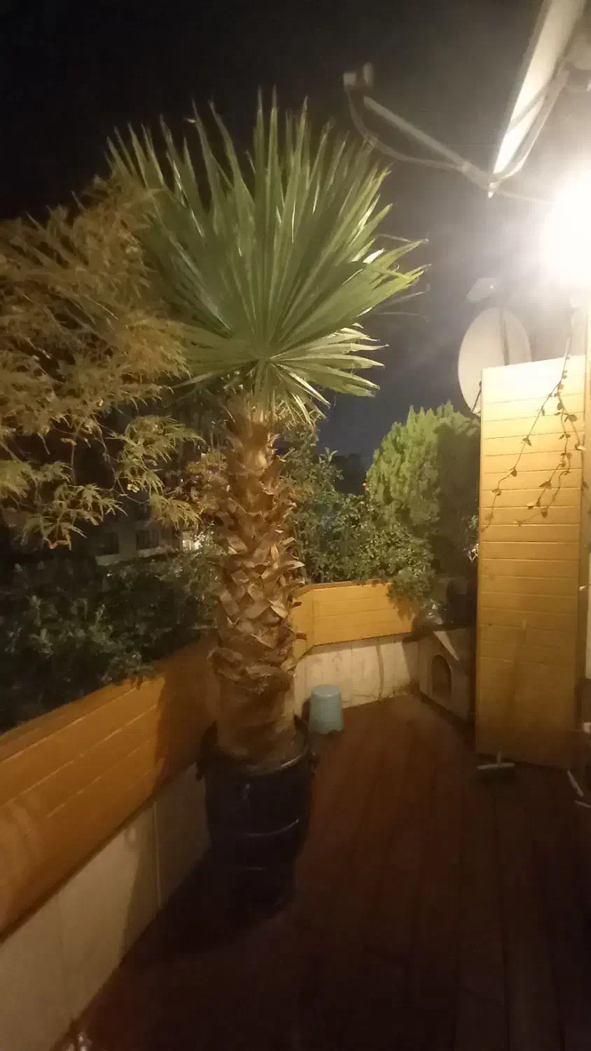 طراحی.اجرا.نگهداری گل و گیاه و درخت|خدمات باغبانی و درختکاری|تهران, درکه|دیوار