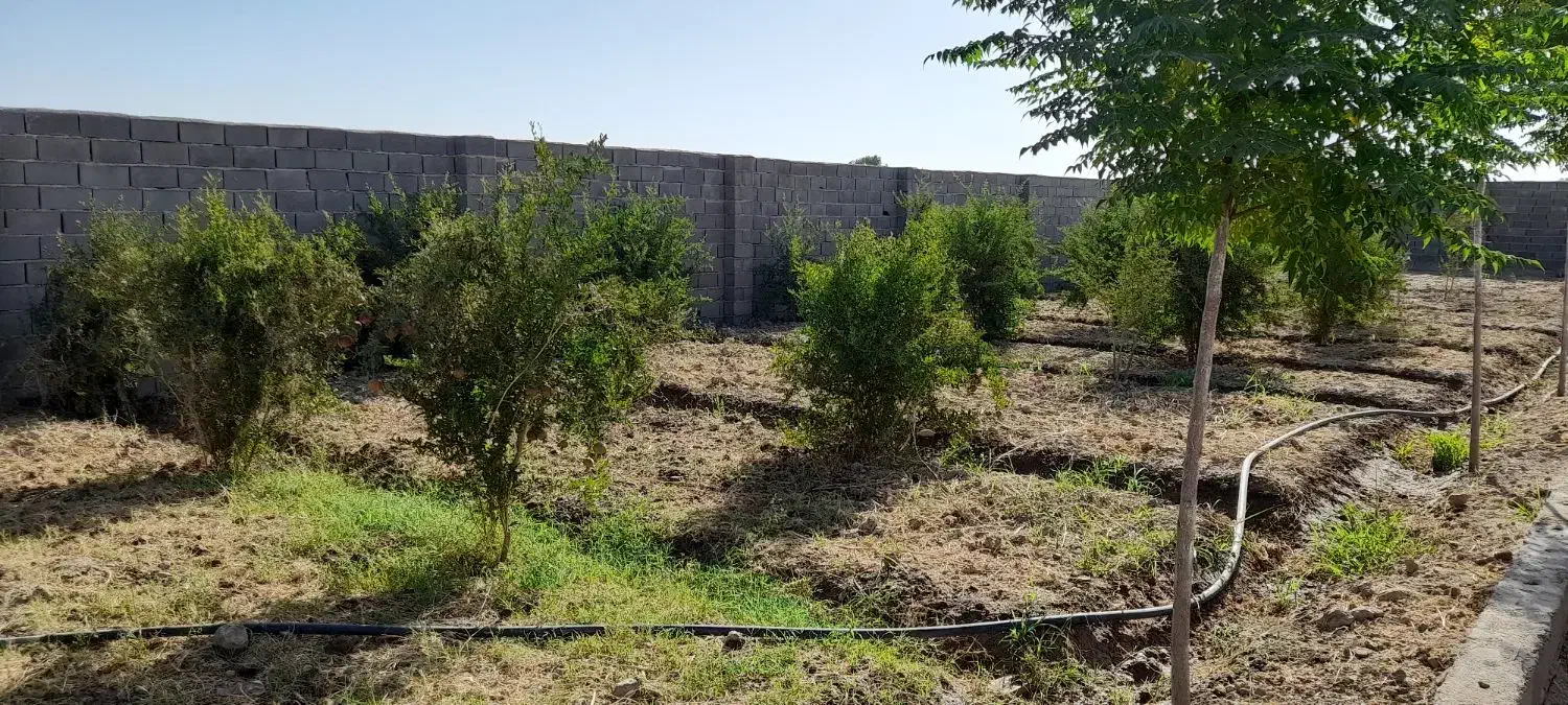 باغچه ۷۶۰ متری جاده دشت سبز|فروش خانه و ویلا|ورامین, قويينک زهری|دیوار