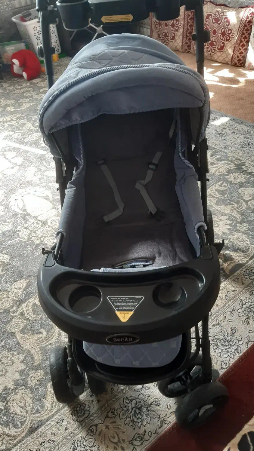 کالسکه دلیجان رنگ ابی|کالسکه و لوازم جانبی|شیراز, میانرود|دیوار