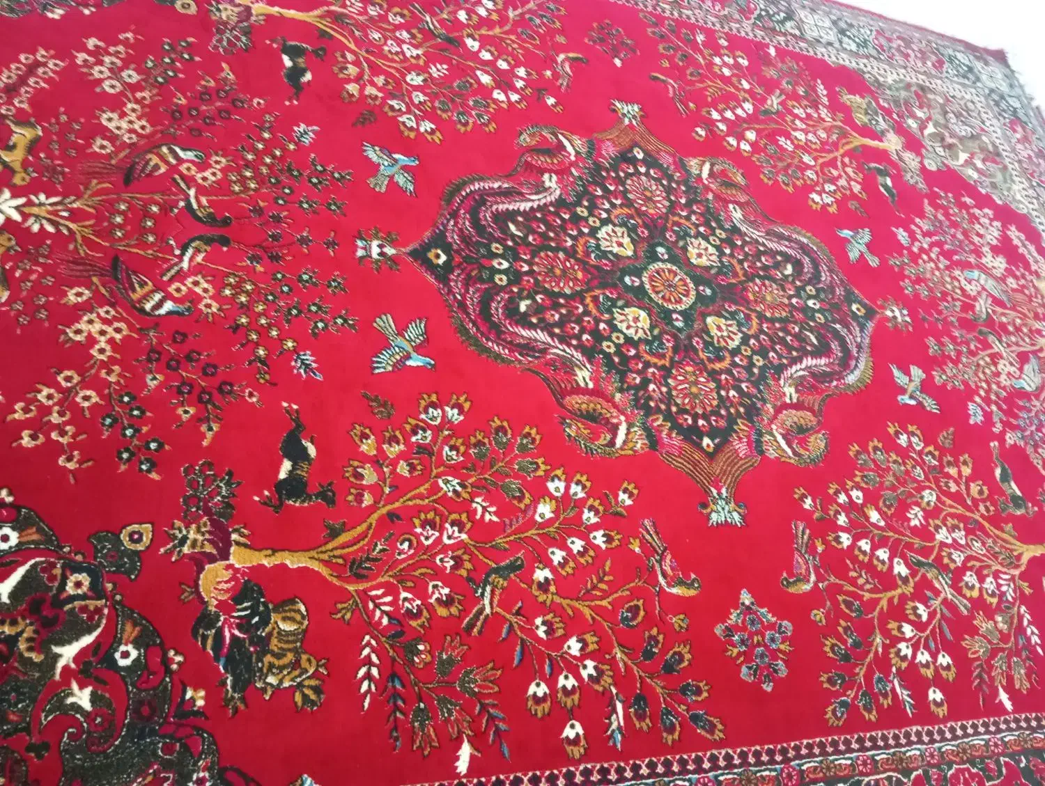 جنس خوبب|فرش|بندر گناوه, |دیوار