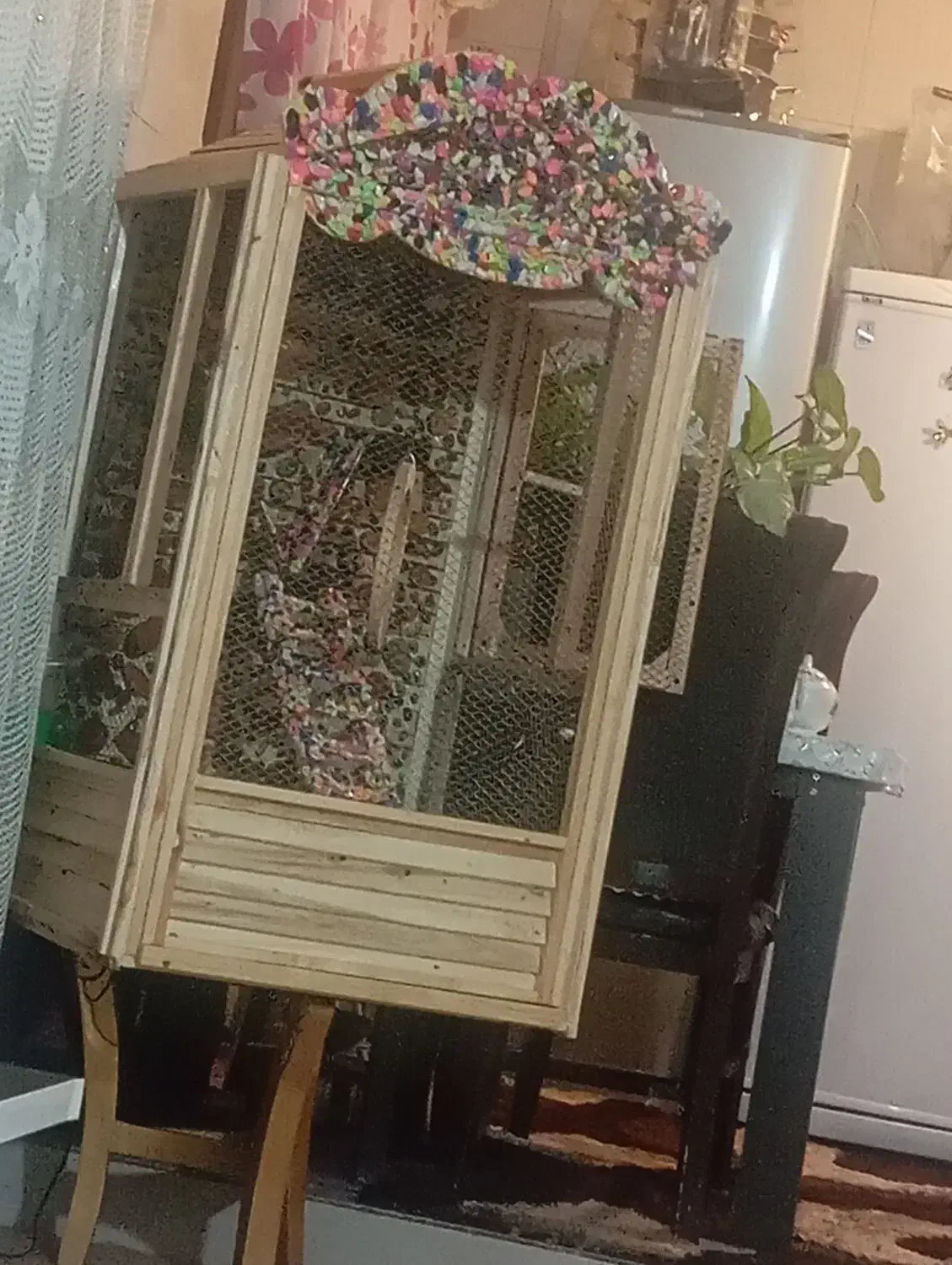 قفس چوبی|لوازم جانبی حیوانات|ابهر, |دیوار