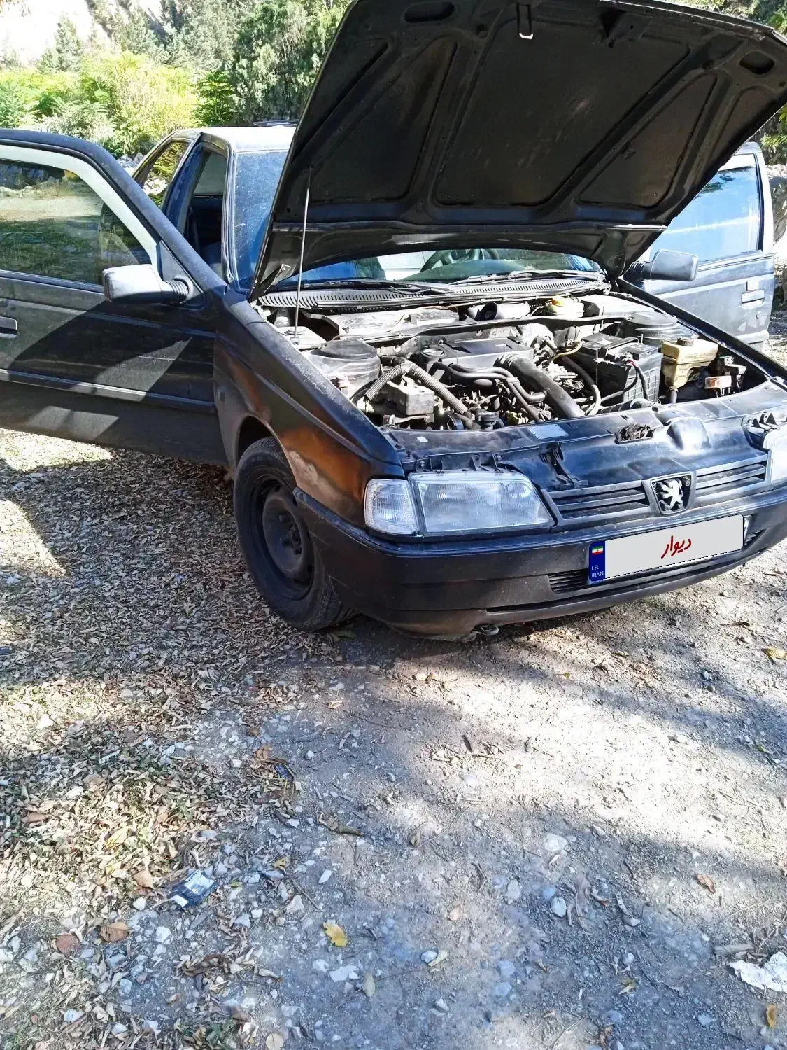 فروش فوری|خودرو سواری و وانت|مرزن‌آباد, |دیوار